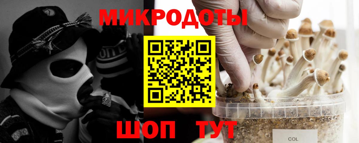 Псилоцибиновые грибы MAGIC MUSHROOMS  Вход с VPN  Печора 